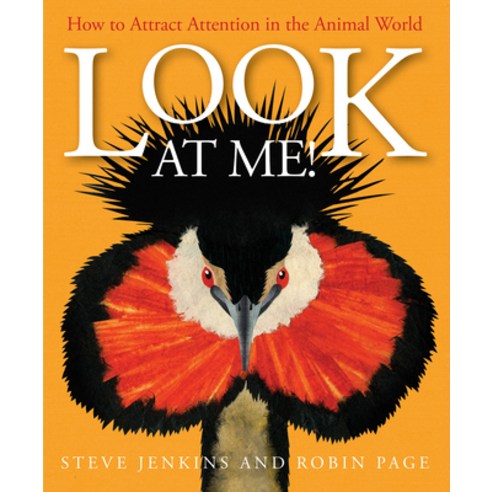 (영문도서) Look at Me!: How to Attract Attention in the Animal World Hardcover, Houghton Mifflin, English, 9780544935532