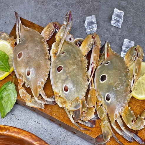 진정한 해산물의 맛을 경험하세요!