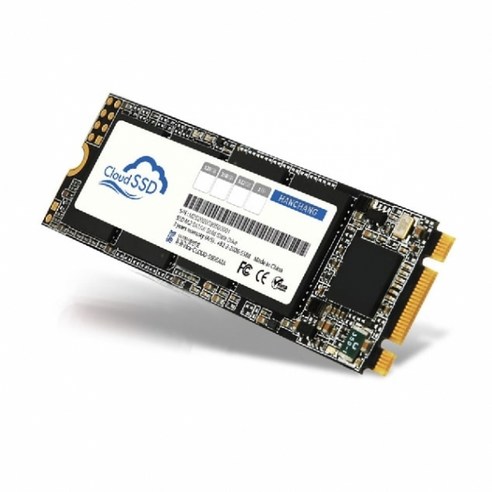 한창코퍼레이션 CLOUD SSD M.2 2280, 512GB