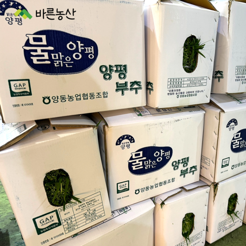 < 바른농산 > 당일수확 국내산 부추 2kg 4kg, 1개”> <h3>< 바른농산 > 당일수확 국내산 부추 2kg 4kg, 1개</h3> <p class=