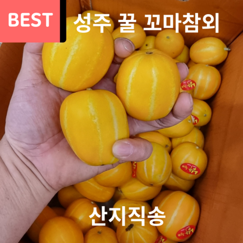 산지직송 성주 진짜 맛있는 꿀 꼬마참외 미니참외, 꼬마1.5kg(9과~14과), 1개