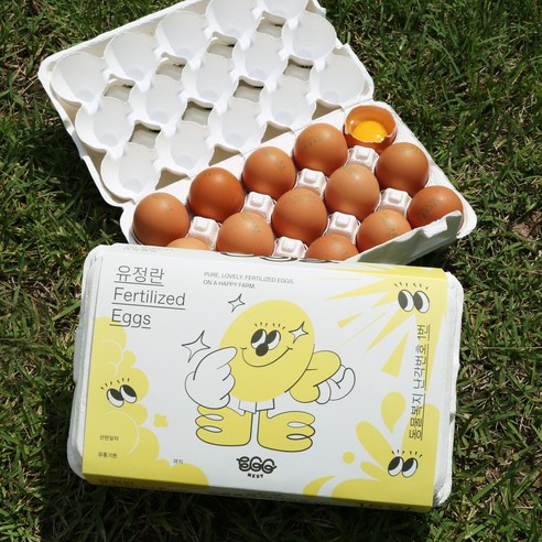오늘낳은 유정란 - 자연방사 동물복지 계란