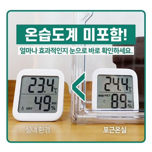 미니 온실로 시작하는 싱그러운 홈 가드닝