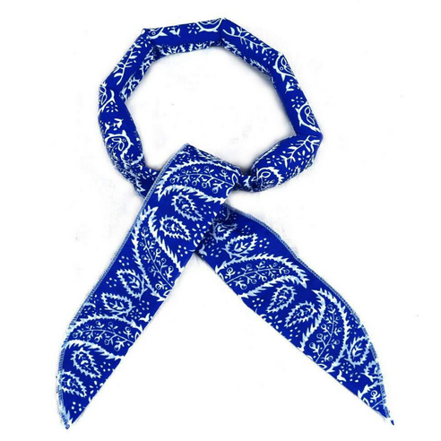 퀸시아 넥쿨러 쿨스카프: 여름철의 불타는 열기를 시원하게 극복하세요