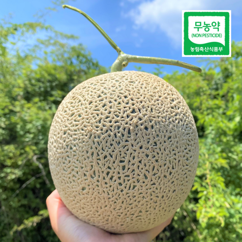 귀한 고당도 무농약 머스크 멜론 5kg 3-4수, 3개 귀한 고당도 무농약 머스크 멜론 5kg 3-4수, 3개