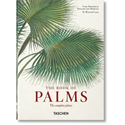 (영문도서) Martius. the Book of Palms. 40th Ed. Hardcover, Taschen, English, 9783836587815
