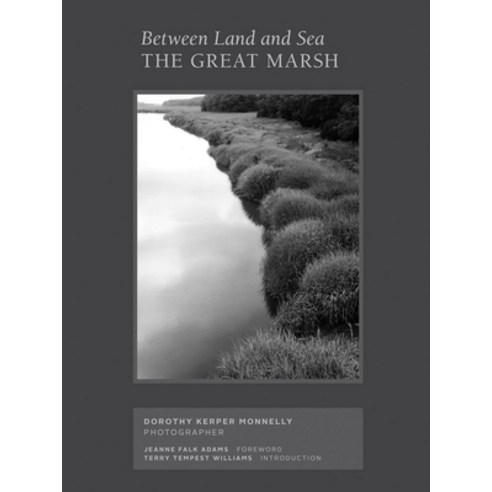 Between Land and Sea: The Great Marsh: Photographs by Dorothy Kerper Monnelly Hardcover, Luciamarquand, English, 9781646570119