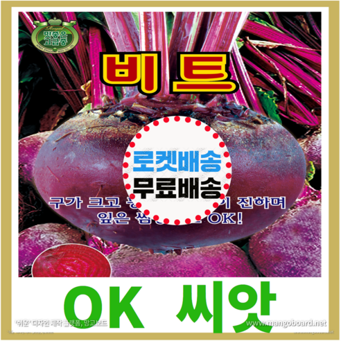 [OK씨앗] [비트] 비트씨앗 종자(오케이씨앗), 1개
