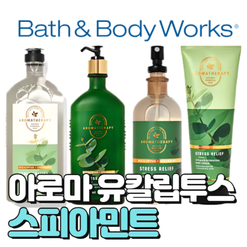 배스앤바디웍스 BBW 향기로운 아로마 유칼립투스 스피아민트, 바디워시, 1개, 295ml