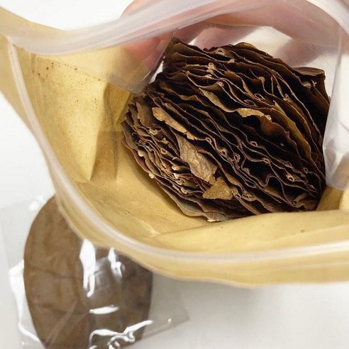 베타 알몬드잎으로 어항 속 베타 물고기에게 건강과 행복을!