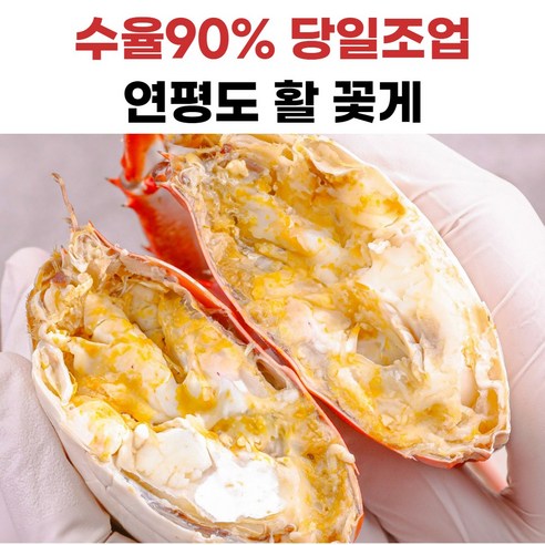 연평도 꽃게 불만족시100%재발송, 1개, 5kg