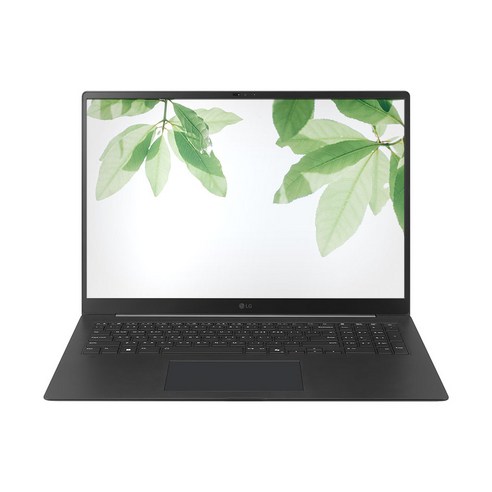 LG전자 2025 그램 Pro 17 코어Ultra7 지포스 RTX 5050 방문설치, 옵시디안 블랙, 512GB, 32GB, Free DOS, 17ZD90TR-EX7BK