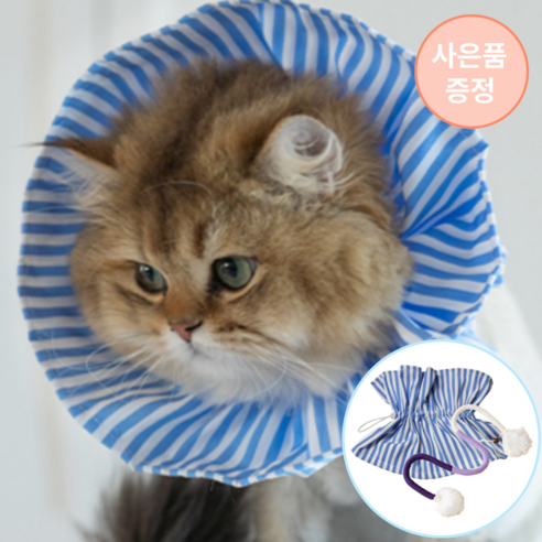 [speedmong] 목편한 초경량 시야 확보 반려동물 편안한 넥카라 고양이 강아지 깔대기 중성화, 파스텔블루, 1세트