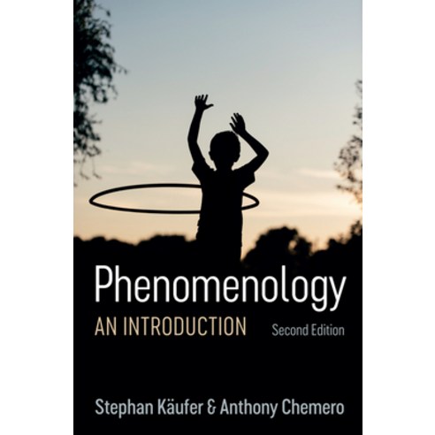 Phenomenology: An Introduction Paperback, Polity Press