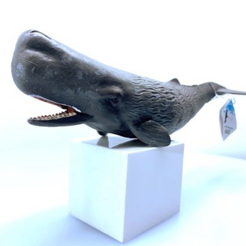 컬렉타 향유고래 해양 동물 물고기 피규어 장난감 모형은 어린이에게 안전하고 교육적인 가치를 제공하는 완구입니다.