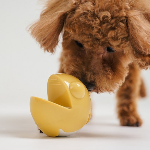 강아지의 지능 개발과 노즈워크 훈련에 최적화된 독톡 강아지 개코볼 노즈워크 장난감