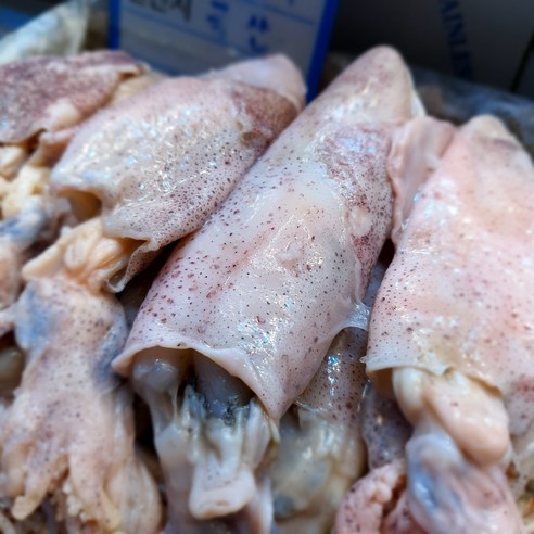 건강과 가성비를 겸비한 천연 타우린 덩어리 염꼴뚜기젓