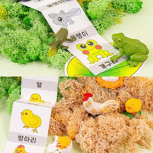 동물 한살이 성장 과정 모형 미니어처 피규어 과학 학습 교구, 바다 거북이