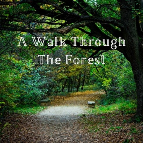 A Walk Through the Forest: A Beautiful Nature Picture Book for Seniors With Alzheimer''s or Dementia.... Paperback, Independently Published, English, 9798598974346