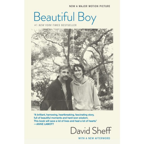 Beautiful Boy (Tie-In): A Father''s Journey Through His Son''s Addiction Paperback, Mariner Books