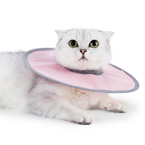 고양이 넥카라 초경량/물림 방지 목도리/반려동물 긁음 방지 넥카라/고양이 핥음방지, Pink, 1개