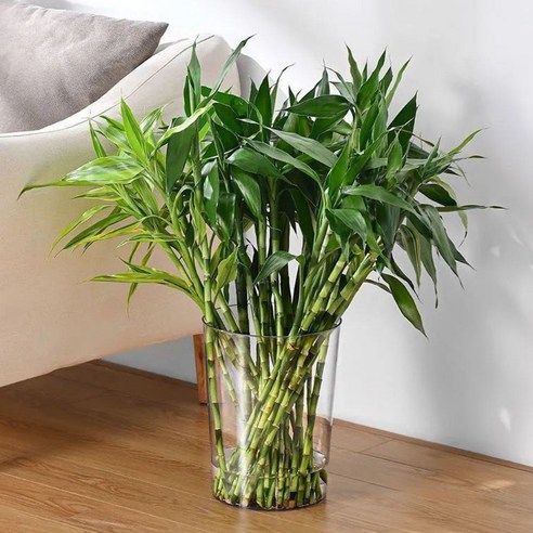 고급스러운 분위기와 실용성을 겸비한 인테리어 대형 꽃 화병