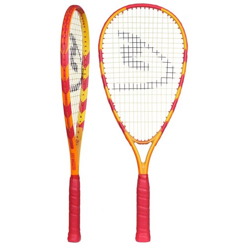 스피드민턴으로 삶의 활력을 되찾으세요!