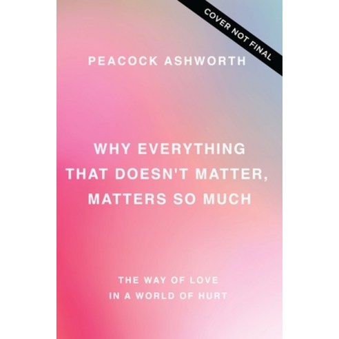(영문도서) Why Everything That Doesn''t Matter Matters So Much: The Way of Love in a World of Hurt Paperback, Thomas Nelson, English, 9781400337644