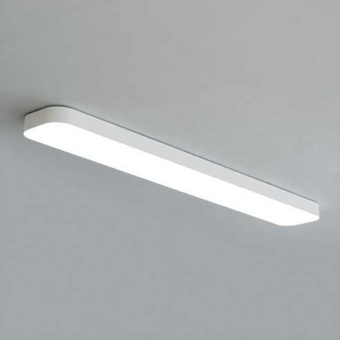 조명에반하다 LED 심플주방등 60W, 화이트 + 주광색