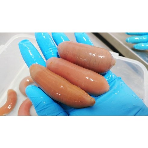 바닷가에서 갓 잡아 올린 참개불을 신선하게 드세요