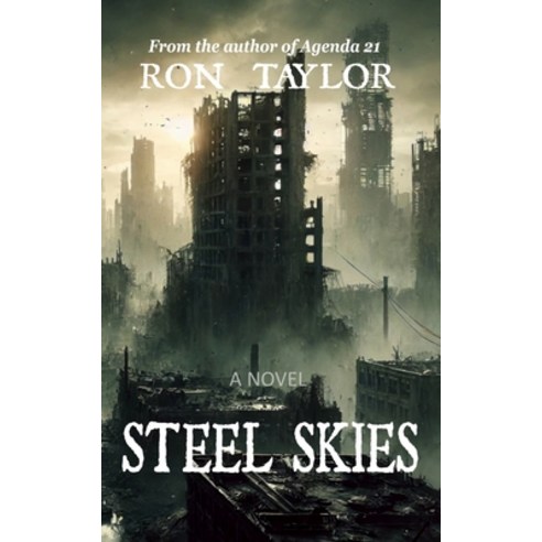 (영문도서) Steel Skies: A Post Apocalyptic Action Adventure Novel Paperback, Independently Published, English, 9798344366647