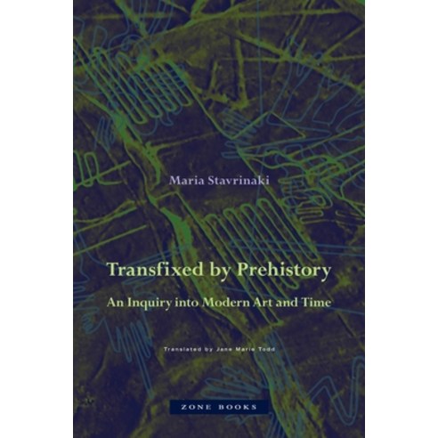 (영문도서) Transfixed by Prehistory: An Inquiry Into Modern Art and Time Hardcover, Zone Books, English, 9781942130659