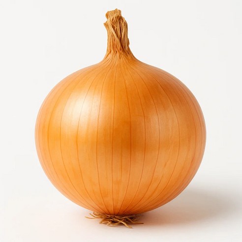달큰하고 시원한 국내산 햇 양파, 1개, 10kg 특