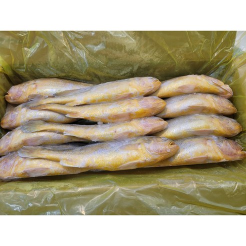 부세조기 3.4kg(12미) - 조기 | 쿠팡