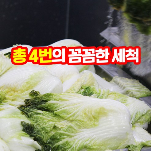 부자김치: 100% 국산 HACCP 당일제조 배추김치