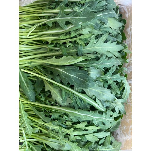 싱싱한 와일드루꼴라: 건강한 식단에 영양과 풍미를 더하세요.