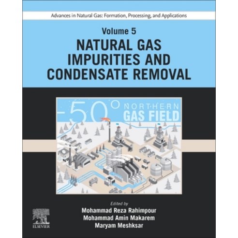 (영문도서) Advances in Natural Gas: Formation Processing and Applications. Volume 5: Natural Gas Impur... Paperback, Elsevier, English, 9780443192234