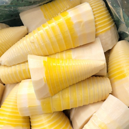 [국내산] 거제도 삶은 햇 죽순, 1개, 500g