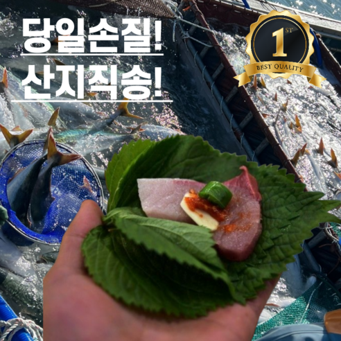 산지직송 제철 방어 대방어 방어회 9kg이상 손질 회 필렛 9gk 이상, 1개, 10kg 이상 대방어 슬라이스 (1kg)