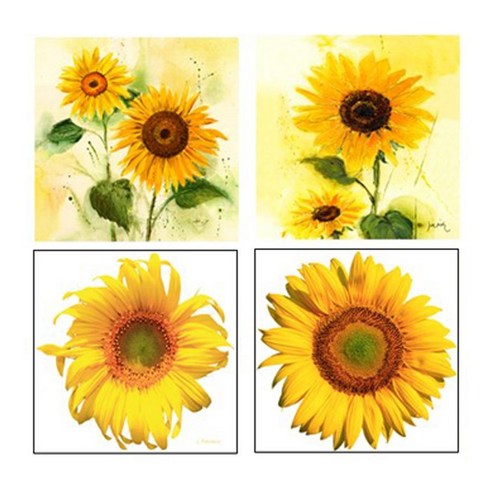 케이아트 인테리어 그림 노프레임 액자 12x12cm, 12 해바라기4종