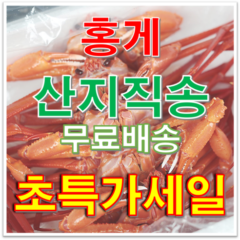 초특가 홍게 10마리 파격 할인!, 10개