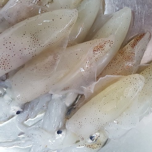 싱싱해몰 꼴뚜기 냉동: 신선함, 영양, 가성비의 완벽한 조화