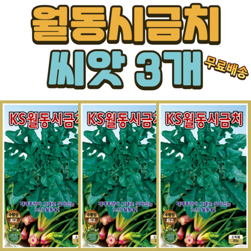 월동 시금치 씨앗 3개 재래종맛 겨울시금치 채소 씨 종자