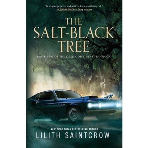 (영문도서) The Salt-Black Tree: Book Two of the Dead God''s Heart Duology Paperback, Tor Books, English, 9781250791566