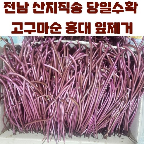 국내산 고구마 줄기 순 홍대 통채루 1kg 산지직송, 3개