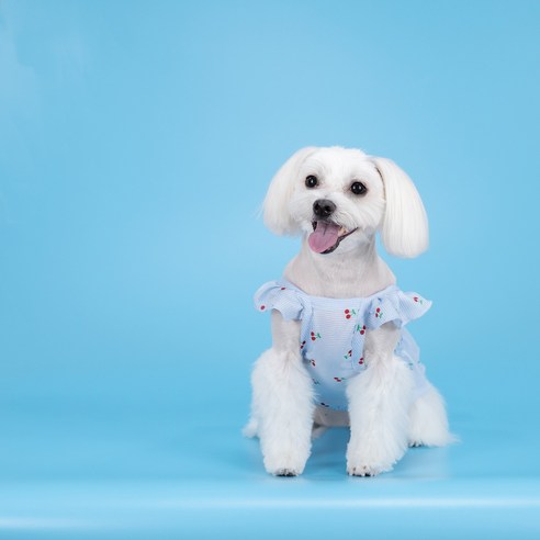 이릴리(ELILY) 강아지 고양이 원피스 프릴 드레스 강아지여름옷, 라이트블루, 1개