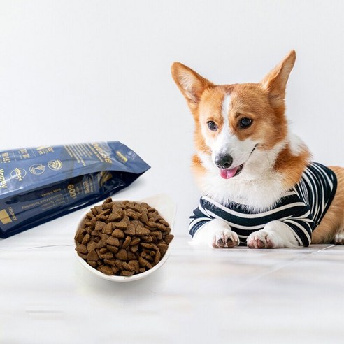 노블레스 2.4kg 울금 강아지 가수분해사료 눈물 알러지사료, 작은알, 1개