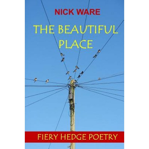 (영문도서) The Beautiful Place Paperback, Fiery Hedge Publications, English, 9780993047367