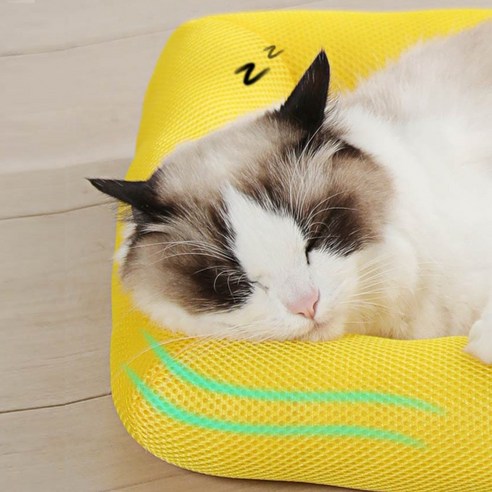 강아지의 더위를 식히고 건강과 행복을 보장하는 리빙공감의 아이스 쿨매트 방석