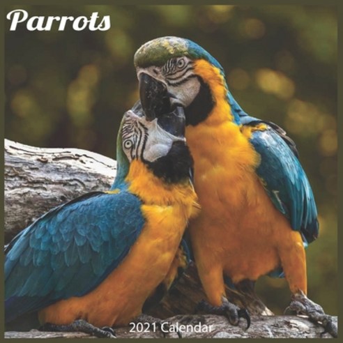 Parrots 2021 Calendar: Official Parrot Wall Calendar 2021 Paperback, Independently Published, English, 9798577080327